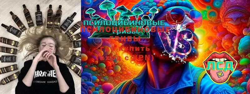 Галлюциногенные грибы Psilocybine cubensis  Лянтор 