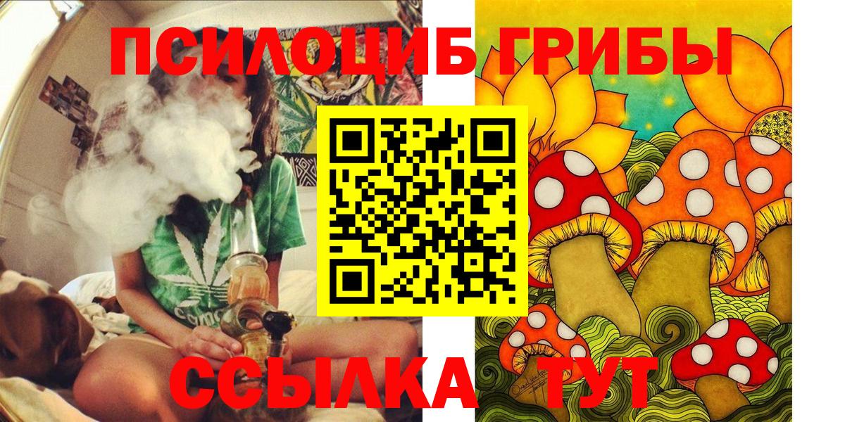 продажа наркотиков  Лянтор  Псилоцибиновые грибы Psilocybine cubensis 
