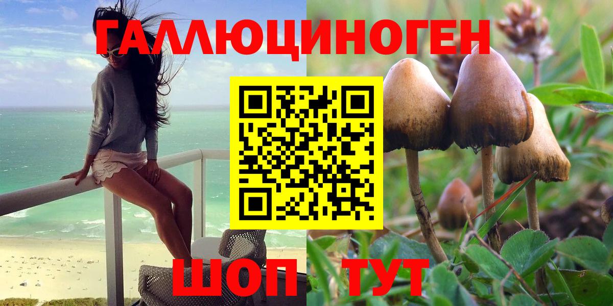 Псилоцибиновые грибы Cubensis Лянтор