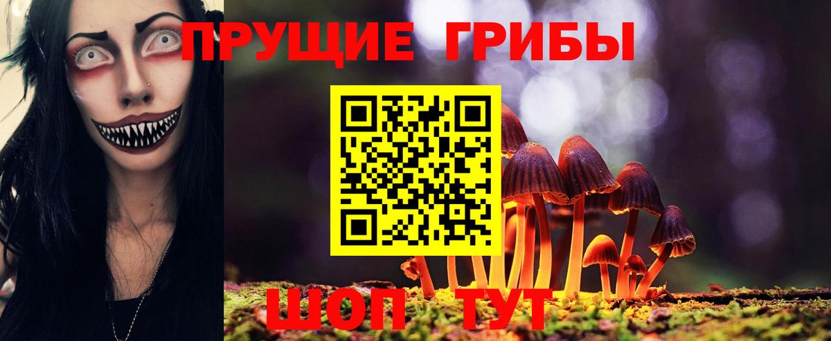 Галлюциногенные грибы Psilocybe  Псилоцибиновые грибы Psilocybine cubensis  Лянтор  Вход с VPN 